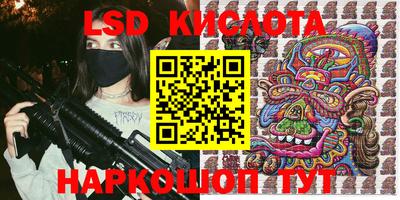 шишки Кандалакша