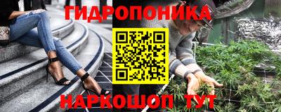 тгк Канаш