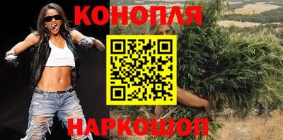 шишки Кандалакша