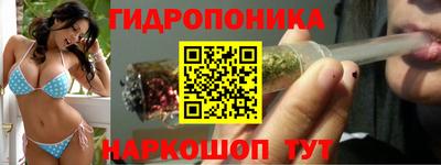 тгк Канаш