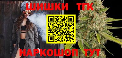 шишки Кандалакша