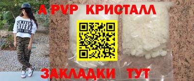 шишки Кандалакша