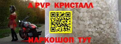 шишки Кандалакша