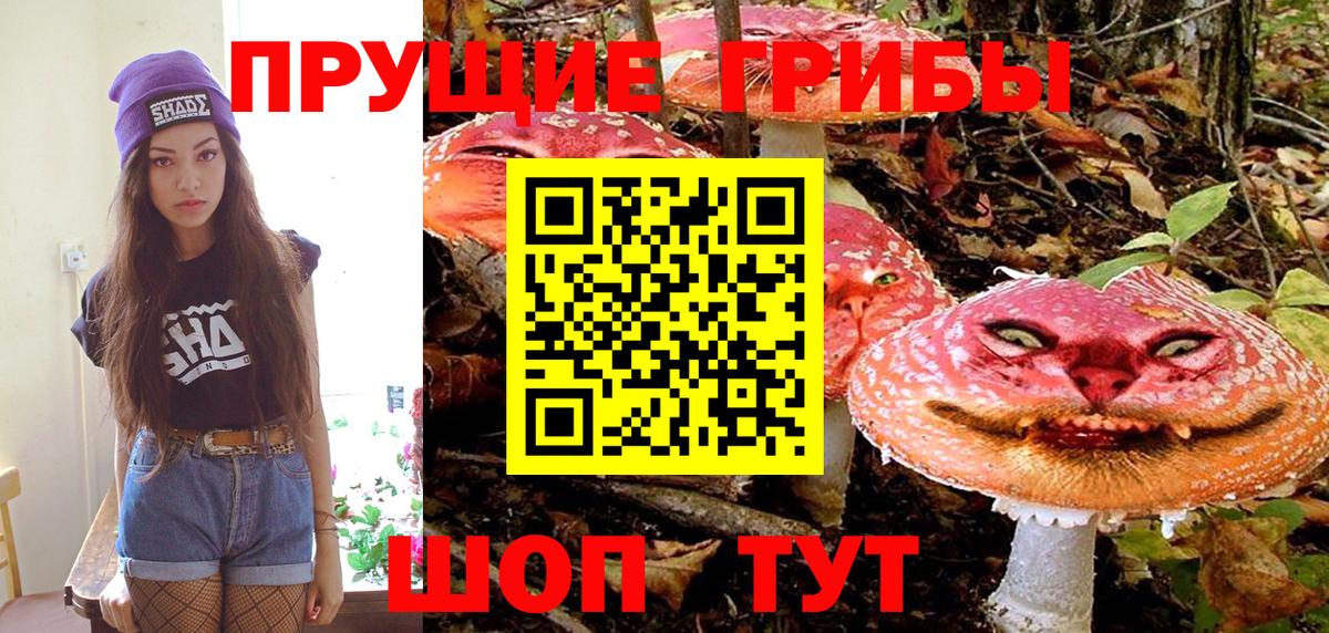 Псилоцибиновые грибы Psilocybe  Вход с VPN  Солнечногорск 